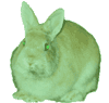 Alba, lapin transgénique flurorescent